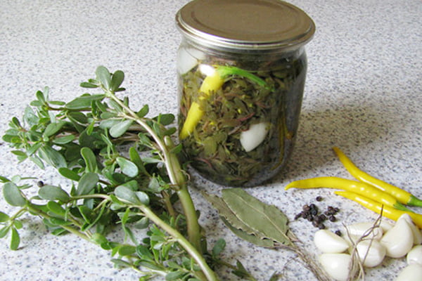 Маринованный портулак