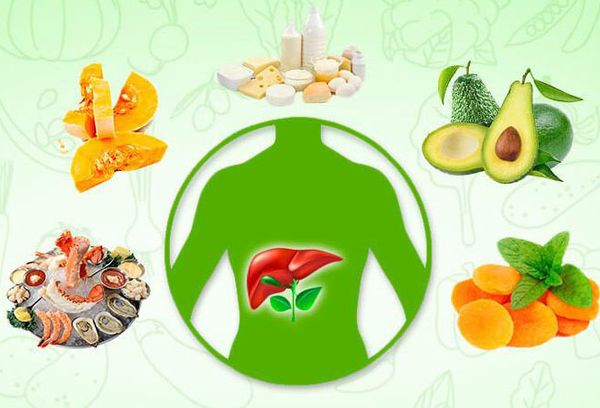 Полезные продукты для печени