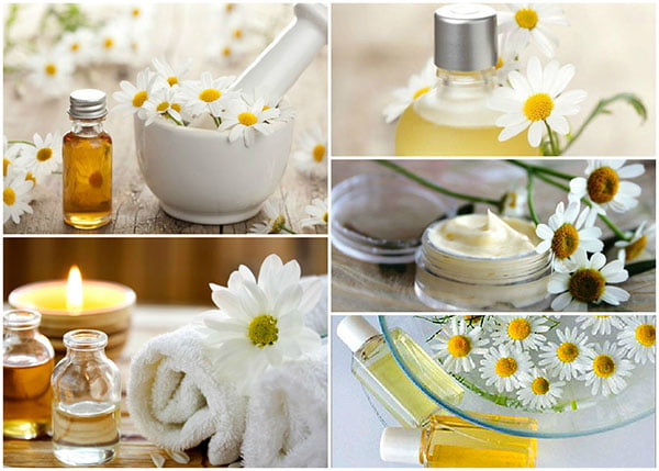 Использование ромашки в косметологии