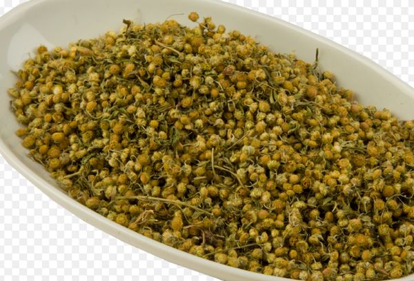 Горькая полынь