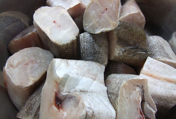 замороженные куски хека