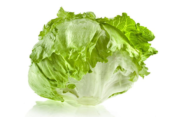 Кочан салата Айсберг