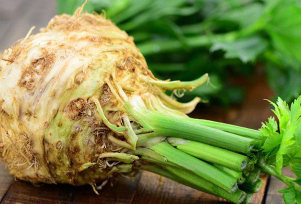 Корень сельдерея