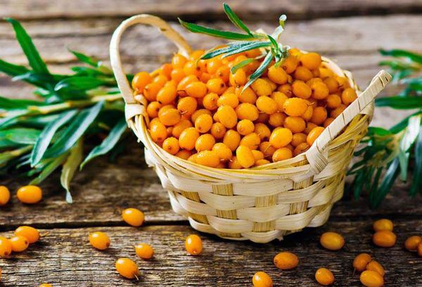 плоды облепихи в корзинке