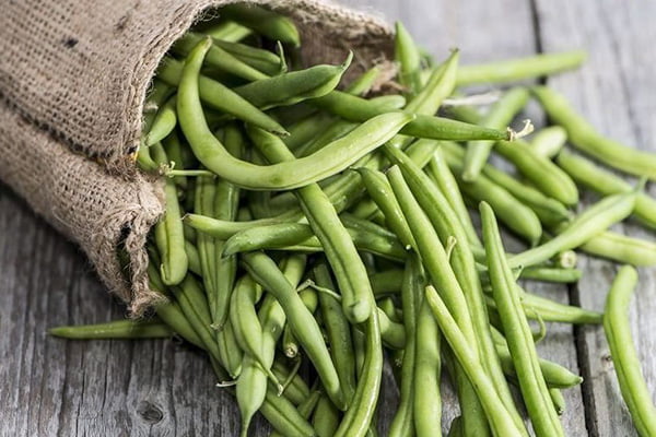 Спаржевая фасоль