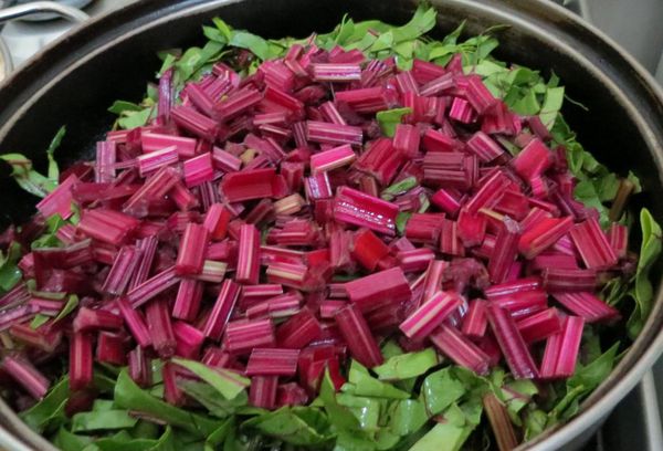 листья и стебли свеклы