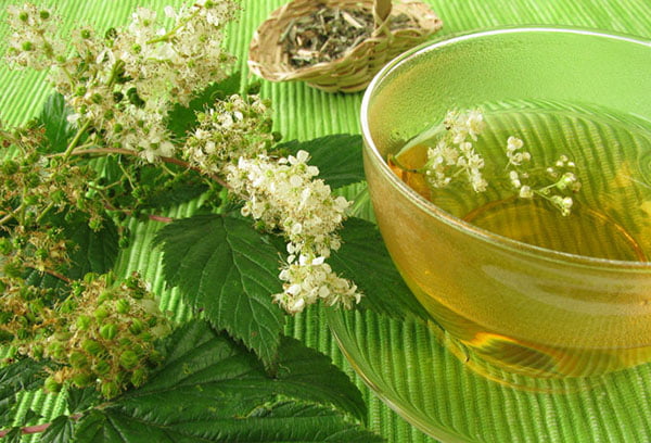 Отвар из цветков таволги