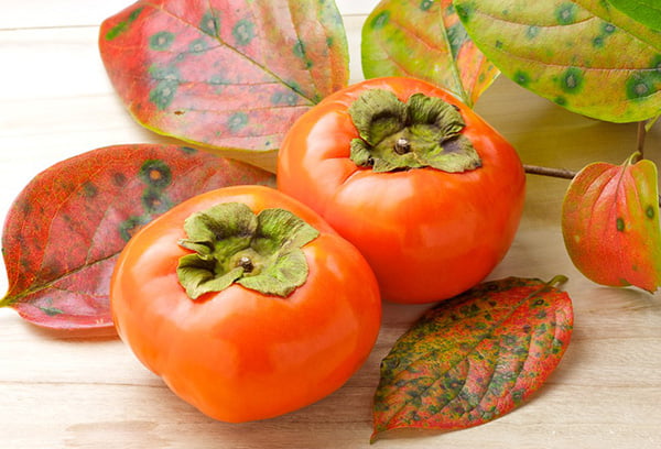 Хурма и осенние листья