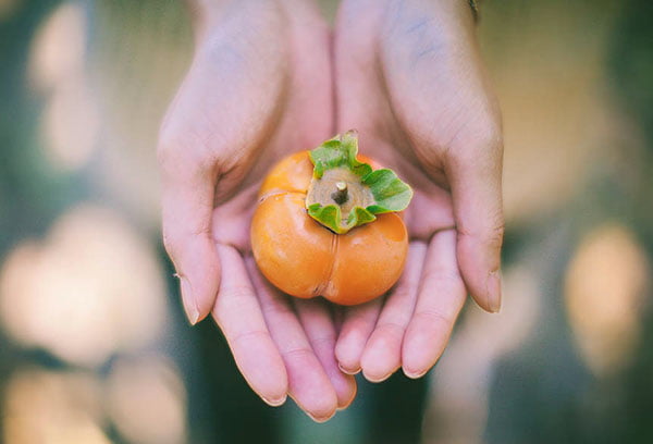 Хурма в руках девушки