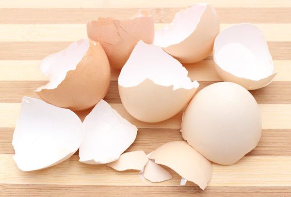 Скорлупа яиц