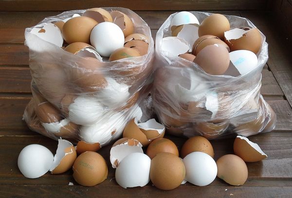 Скорлупа в пакетах