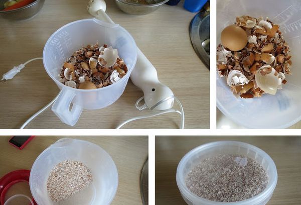 Измельчение скорлупы блендером