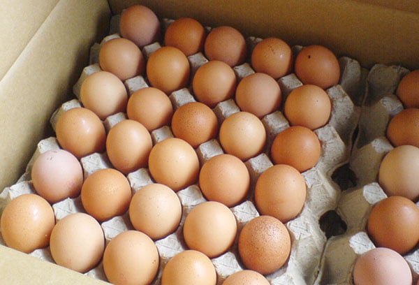 Лоток с куриными яйцами
