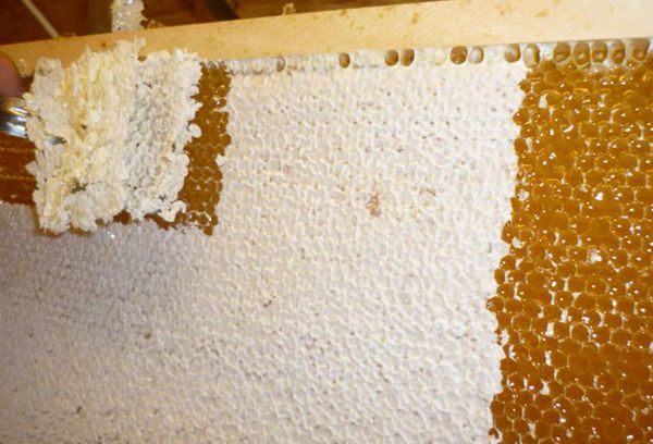 Забрусовый мед