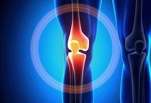 Коленный сустав