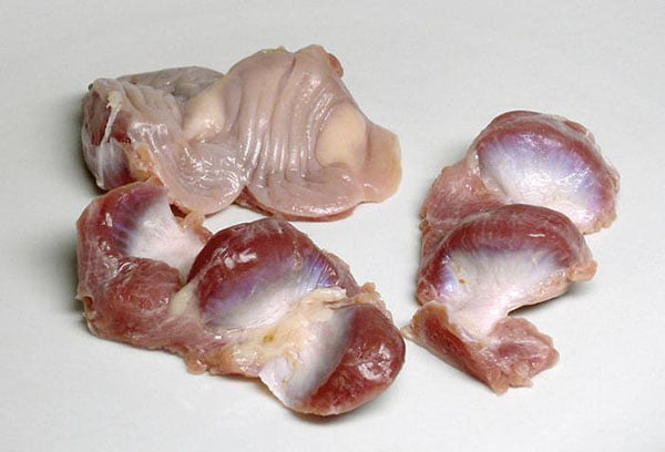 Куриные желудочки