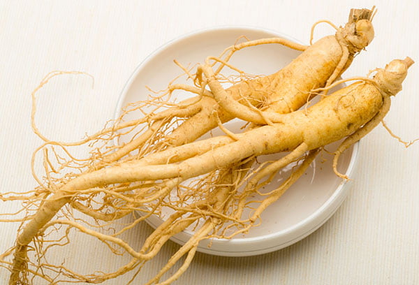 Корень женьшеня