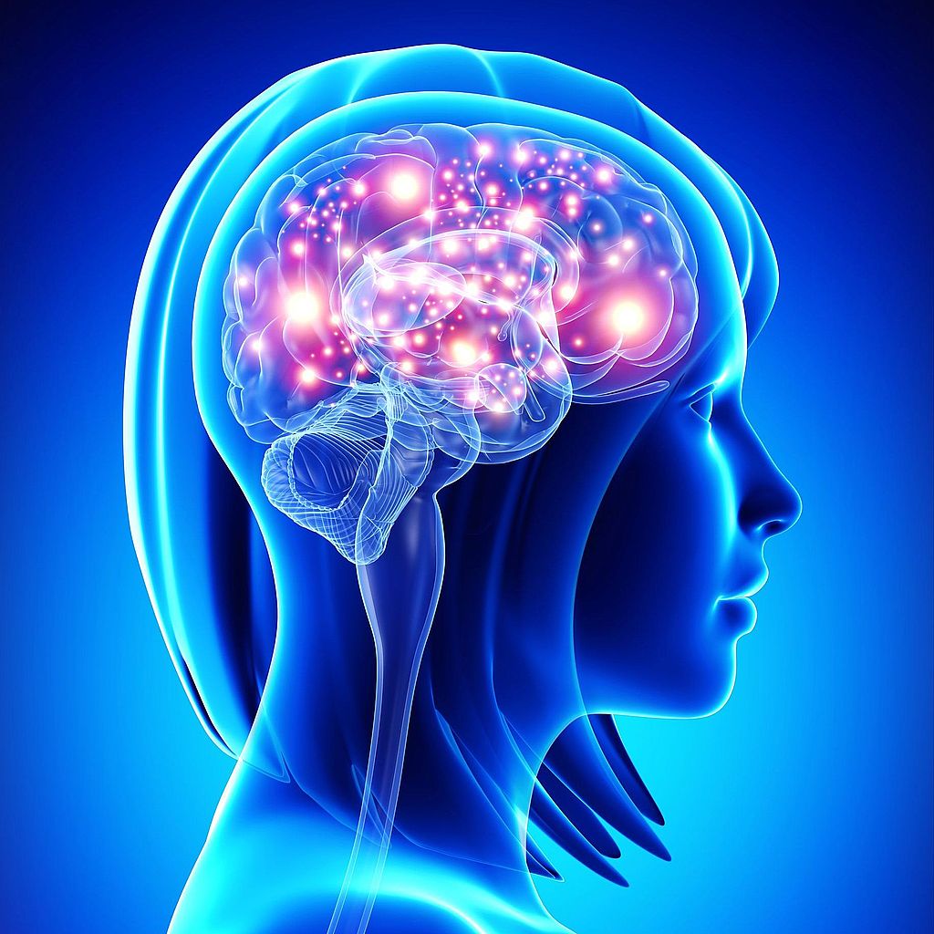 Голова и мозг