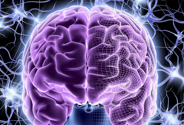Фиолетовый мозг