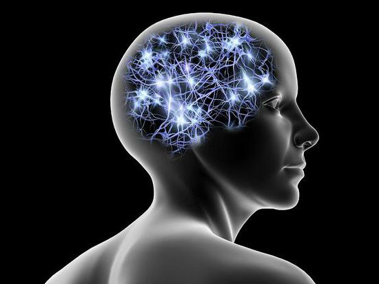 Мозг в голове человека