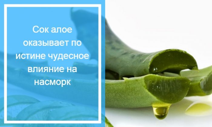 Сок алое при рините