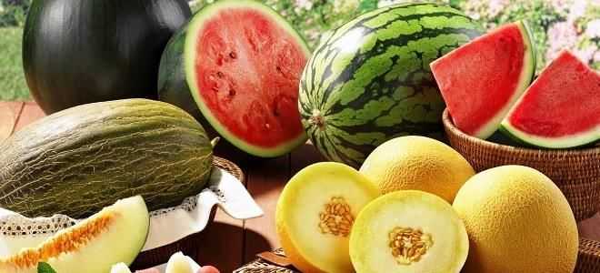 Можно ли есть арбуз и дыню при панкреатите?