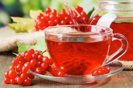 Чай из калины Чай из калины