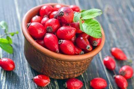 Шиповник Шиповник