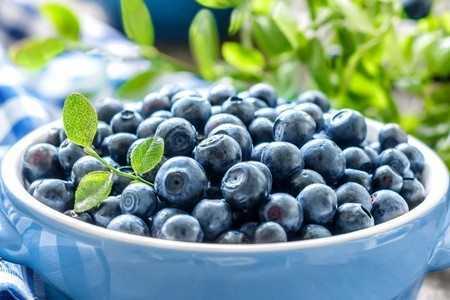 Черника Черника