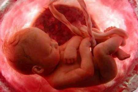 Ребенок в утробе матери