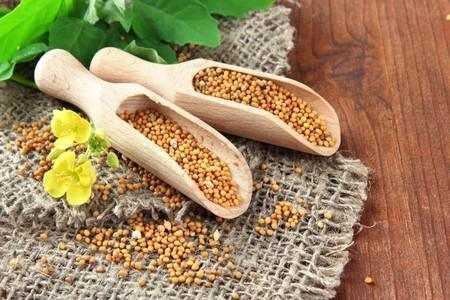 Семена горчицы на лопатках