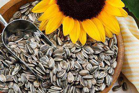 Семечки Семечки