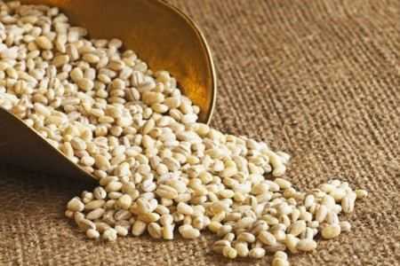 Перловка Перловка