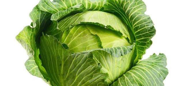 Можно ли при панкреатите есть капусту