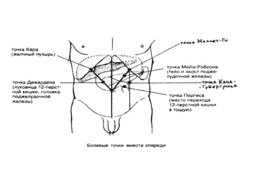 точки пальпации поджелудочной железы