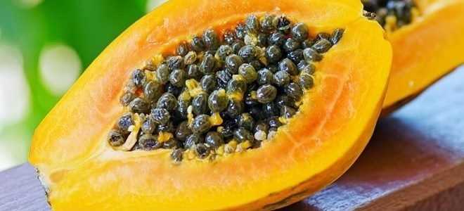 Можно ли есть папайю при панкреатите: польза и вред фрукта?