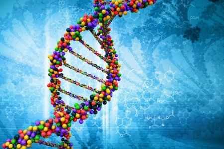 Генетический код Генетический код