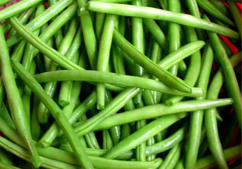 стручки фасоли