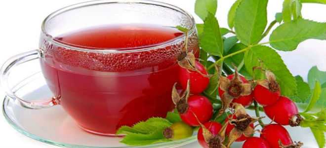 Отвар из шиповника при лечении панкреатита: как приготовить и пить напиток?