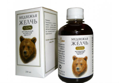 медвежья желчь
