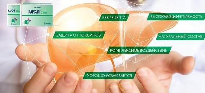 Карсил: показания к применению гепатопротектора