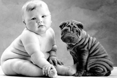 полный малыш и щенок шарпея полный малыш и щенок шарпея