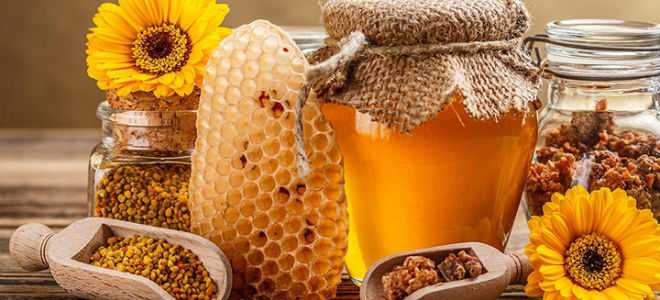 Методы лечения панкреатита прополисом, пергой и другими продуктами пчеловодства
