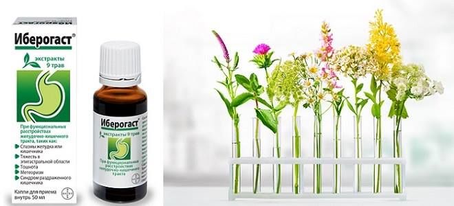Какие патологии ЖКТ можно лечить Иберогастом?
