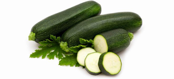 Правила употребления кабачков при всех формах панкреатита