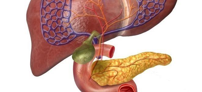 Особенности анатомии: где находится у человека поджелудочная железа?