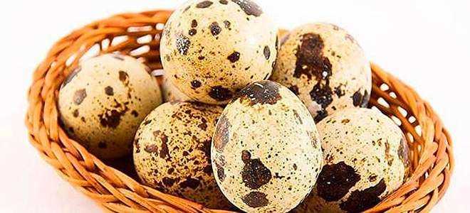 Яйца перепелов при панкреатите