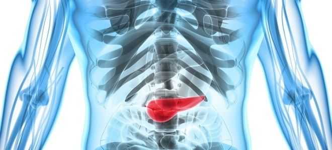 Какие виды функций выполняет поджелудочная железа?