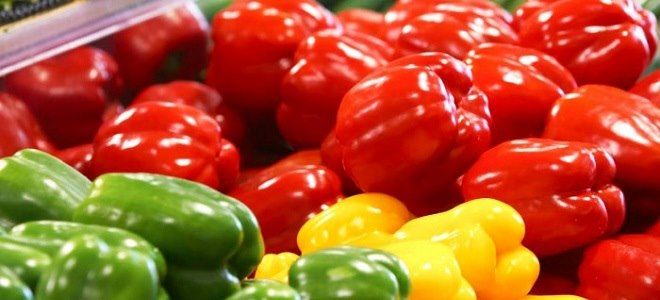 Какие блюда можно приготовить из болгарского перца при панкреатите?