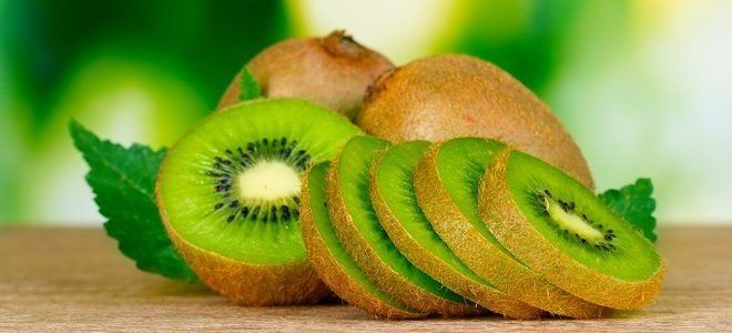 Можно ли при панкреатите есть киви: порцион и разрешенные блюда из фрукта?